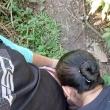 Mídia de adiro_5440