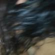 alfavoltou