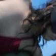 Mídia de casalnovinhadocornin