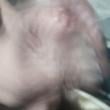 Mídia de coroaroludo_5692