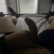 Mídia de correia_4940