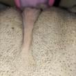 Mídia de doisamantes2323_7189