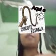 
Saboor mãe solteira rs