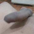 Mídia de fehpalzudo