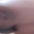 Mídia de felina_sexo