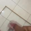 Mídia de jmar2610