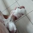 Mídia de joao28bauru
