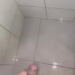 
Alguém de friburgo querend...