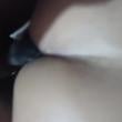 Mídia de leomelo