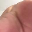 Mídia de macho_3549