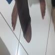 nego_ne