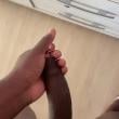 Mídia de nnovinho21cm