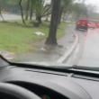 
Carona nunca é de graça 🚗 😇
