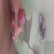 Mídia de rico_5590