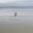Mídia de rodeio_841