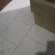 Mídia de safadodorecanto