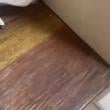 
Depois de assistir um víde...