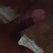 alagoano_safado2345