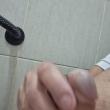 alexfloripa72