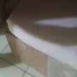 arau_1247