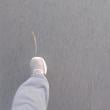 
Uma caminhadinha pra distr...