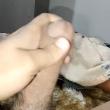 Mídia de atvvi29