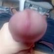 Mídia de azadrafa