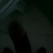 beto_952