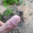 betonatalrn