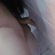 Mídia de bia_2684