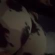 Mídia de biancanicolly66