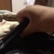 Mídia de bigodesagaz