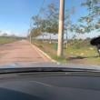 Mídia de boca8181