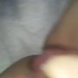 boratransar79