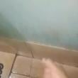 Mídia de branquinsafada0