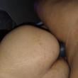 brazino69