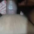 Mídia de bruto_697