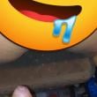 camioneiro_novinho23