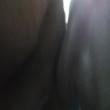 Mídia de carlo_7436
