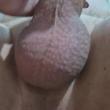 Mídia de casal175020pva