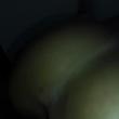 casal__9751