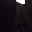 casal_ackr