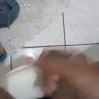 casaldiadema_4639