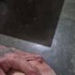 Mídia de casalibre_9581