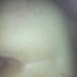 Mídia de casaljm4745