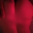 casalperverts1312