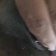 Mídia de casalsapeca1327