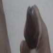 Mídia de casalsomosgostoso