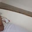 Mídia de casalvr1119