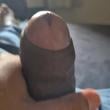 celogui_1237